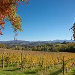 La Ginestra *