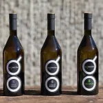 La Ginestra Mossa