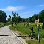 La Ginestra 度假居 Mossa