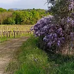 度假居 La Ginestra