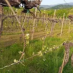度假居 La Ginestra Mossa