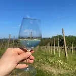 La Ginestra *
