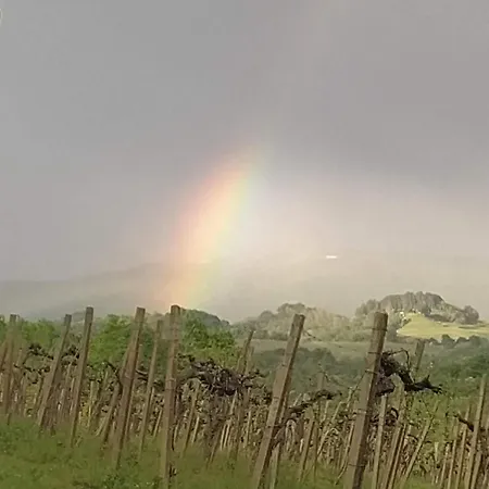 Maison d'hôtes La Ginestra Mossa