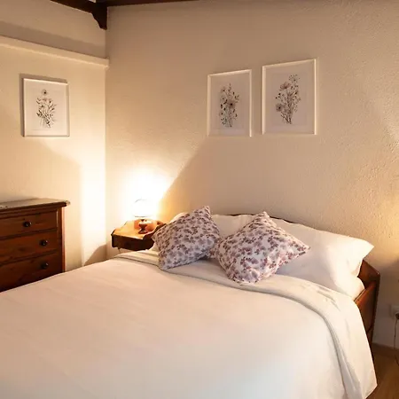 Maison d'hôtes La Ginestra