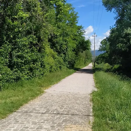 La Ginestra E Дом отдыха Mossa
