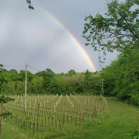 La Ginestra E Mossa