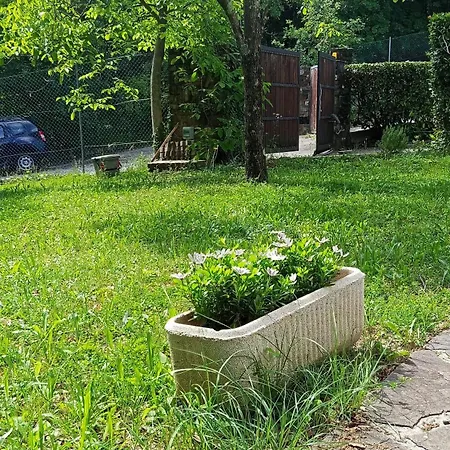 La Ginestra E